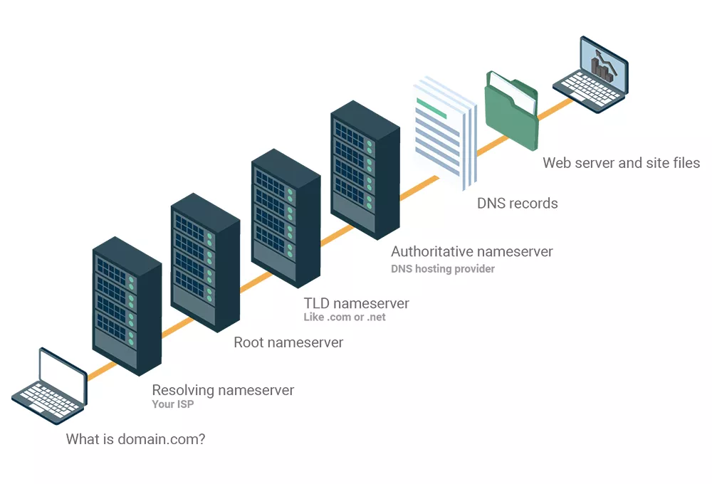 dns 3