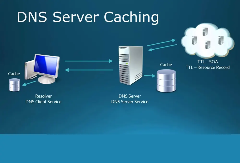 dns 4