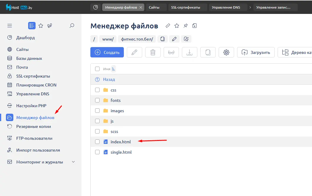 яндекс метрика и ispmanager