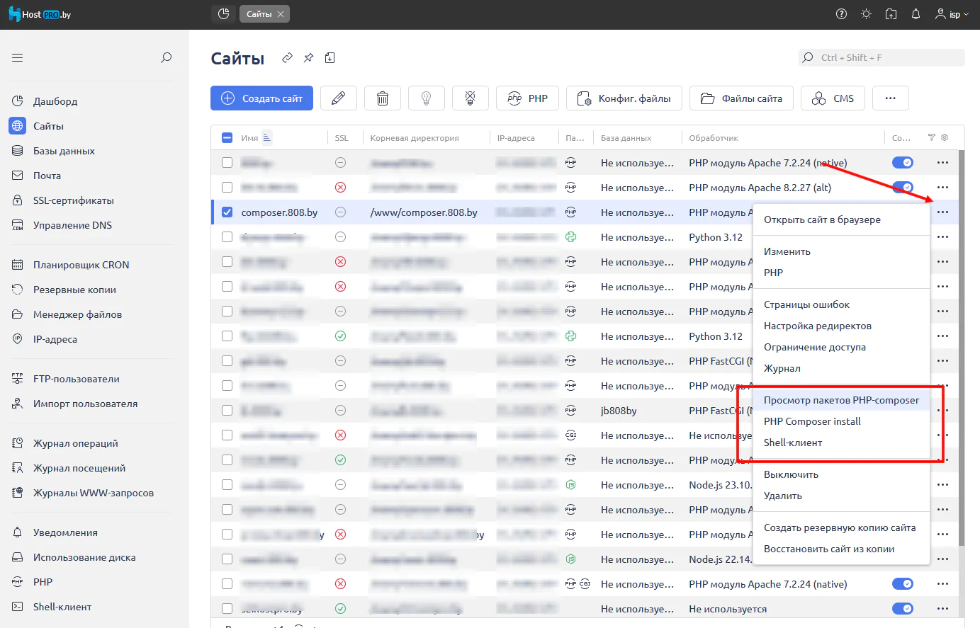 composer shared hosting 03